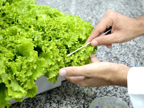 Ánalise de Alimentos